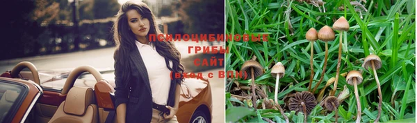 Альфа ПВП Богданович